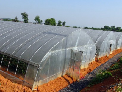單體拱棚溫室